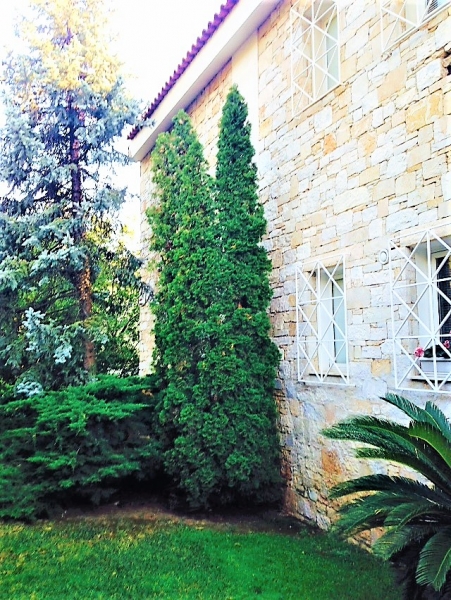 SubstandardFullSizeRender (15).jpg